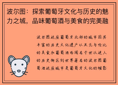 波尔图：探索葡萄牙文化与历史的魅力之城，品味葡萄酒与美食的完美融合