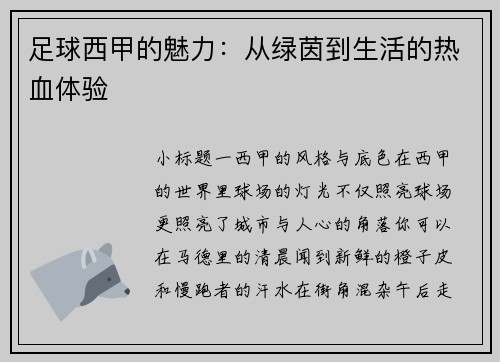足球西甲的魅力：从绿茵到生活的热血体验